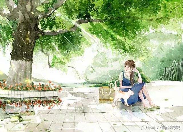 情人节这样过才实惠,情人节每天都过