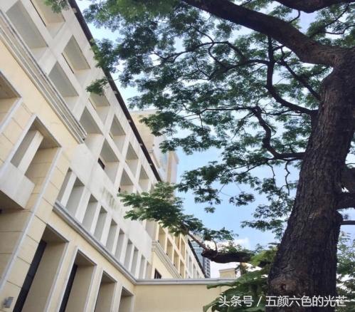 泰国做试管要经历什么,在泰国做试管婴儿的真实经历