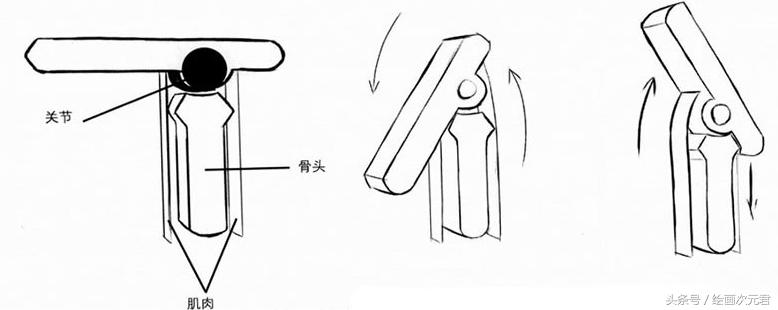 画好的人体结构画法,人体结构与动态基础教程