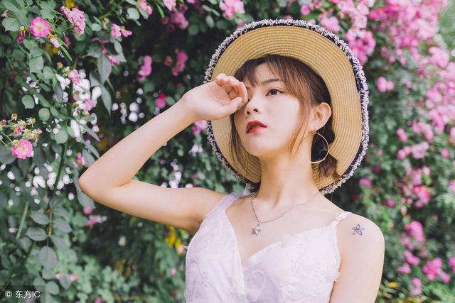 股市波动的逻辑讲解,股市的规律分析书