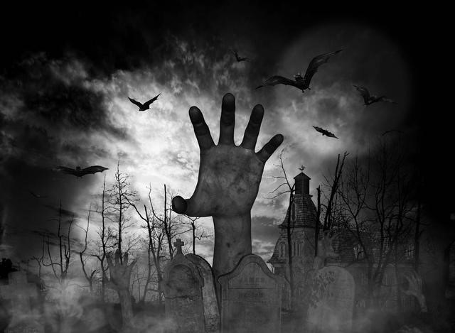 女子伪装成医生混进病房,整容医院隐瞒病人小说