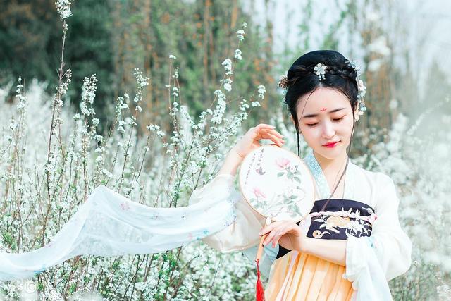 小说：得知女儿在皇宫当众脱衣，丞相气炸了，想当场拍死这个孽障