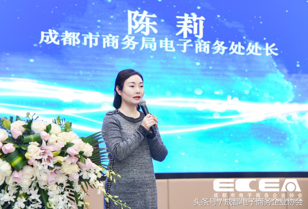 成都市跨境电子商务协会,成都市电子商务协会