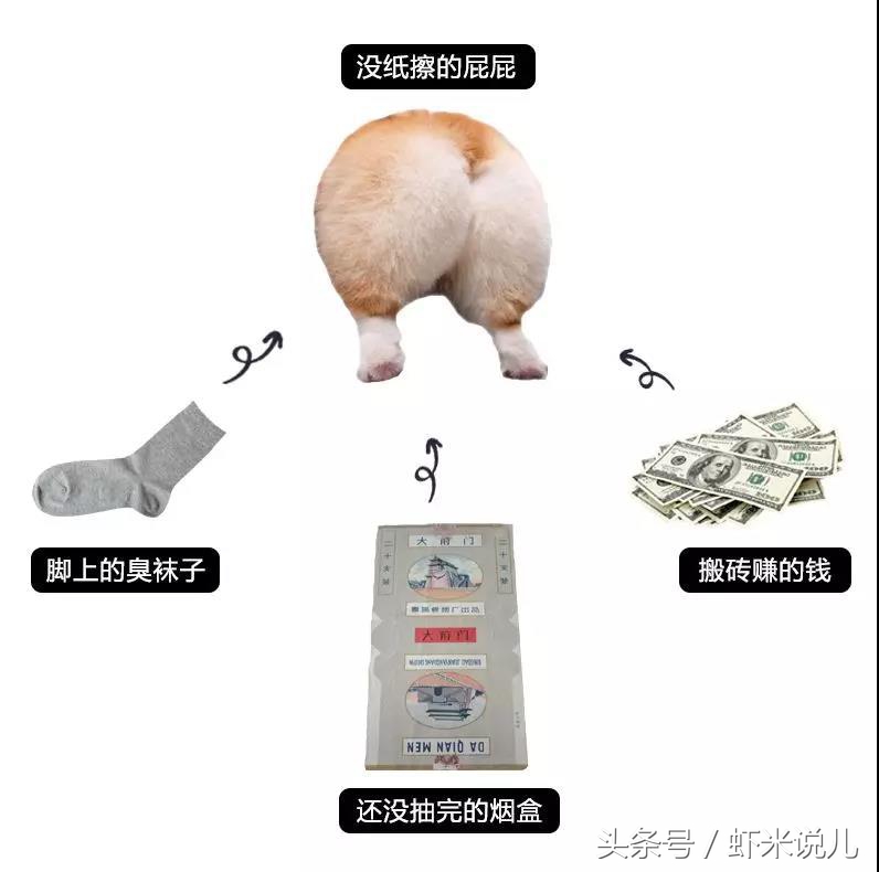 「虾讨论」擦屁纸，到底应该扔哪里比较合适？