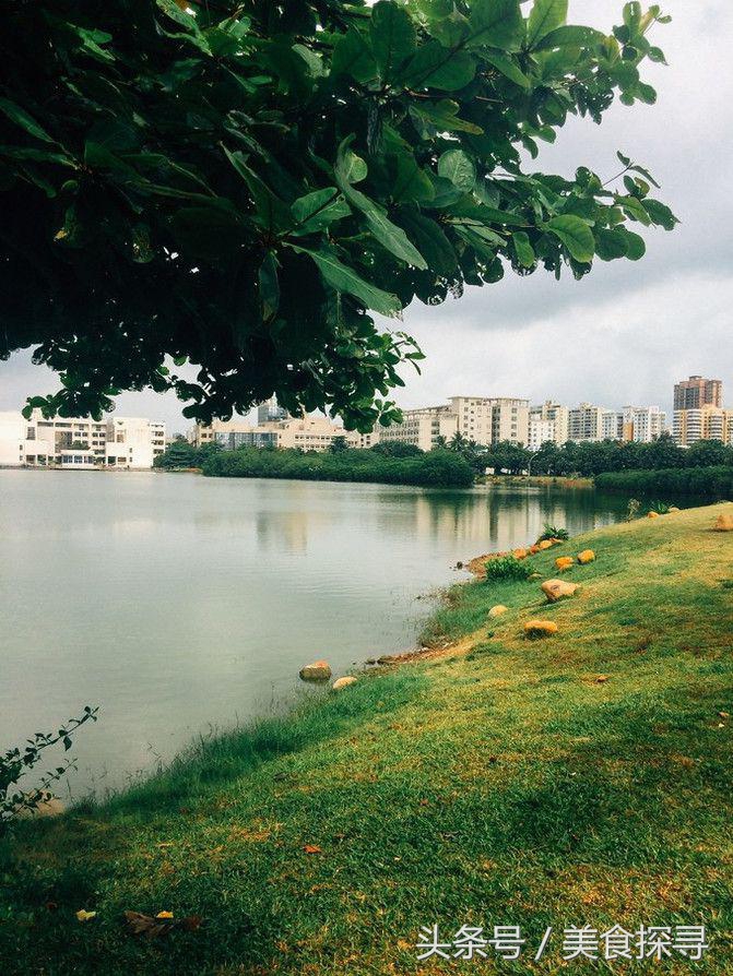 海口一座充满回忆的城市,海口的城市记忆
