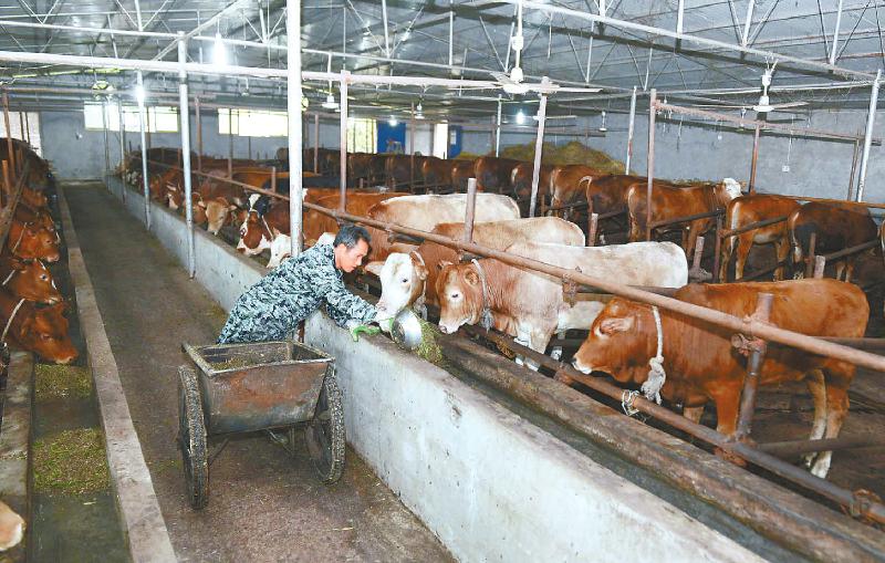 养殖动物品种大全,特种动物养殖品种