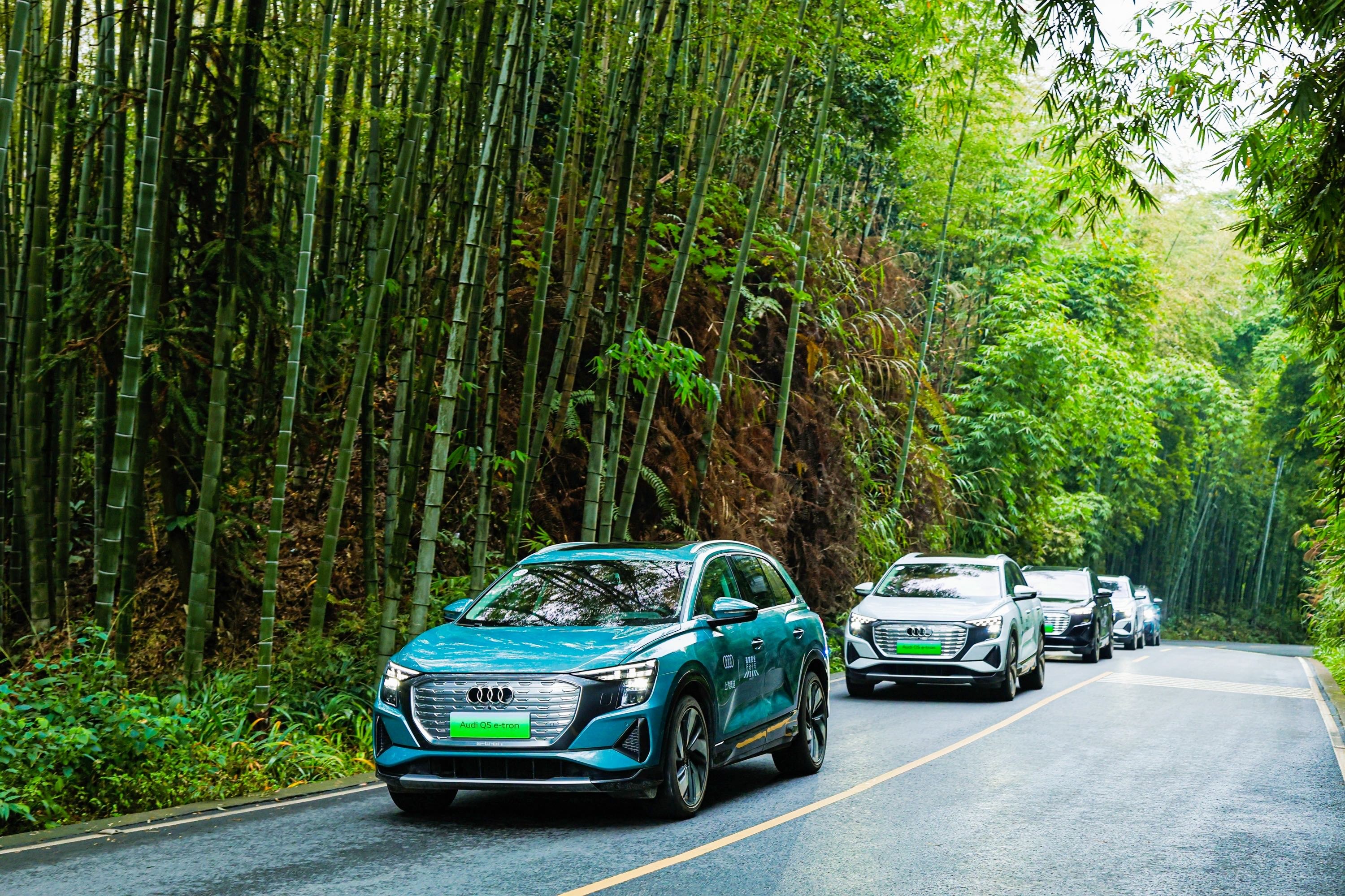 鐩婅,缁垮垱鏈潵