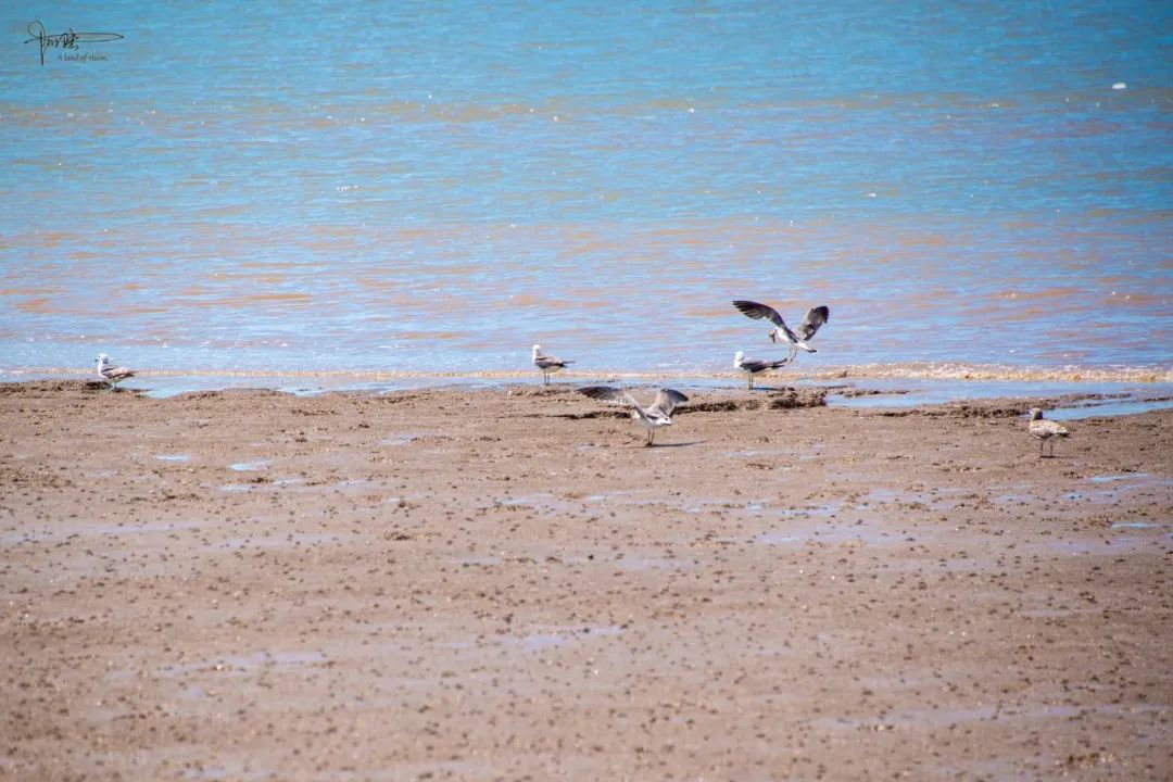 舟山绿道旅游攻略,舟山滨海绿道