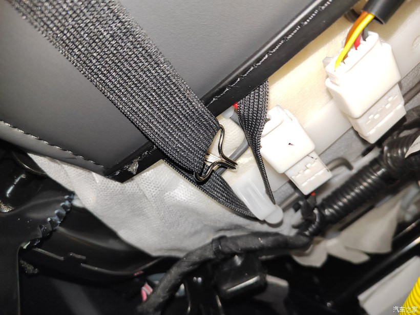 怎样保护自己的神兽,神兽终于要归笼了我们如何保护好