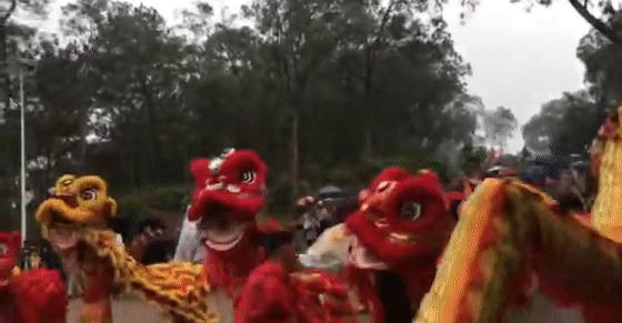 亚洲龙气势,亚洲狮五项全能