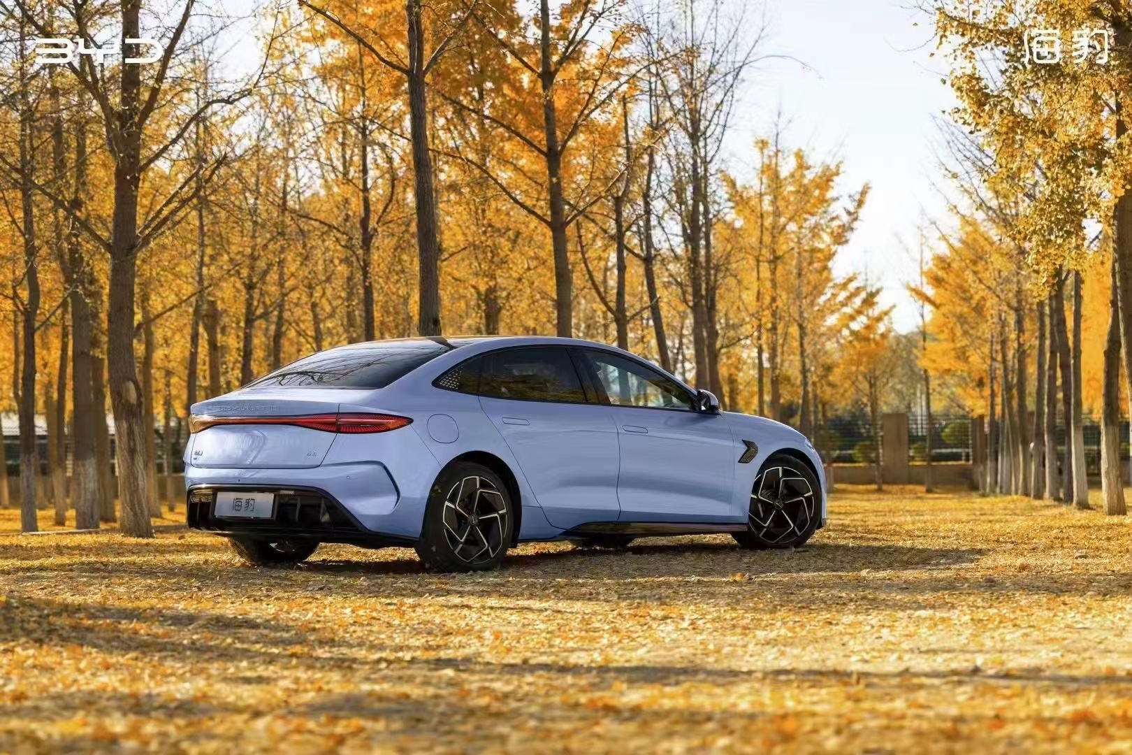 今年买车买什么车？当然是来邯郸南环比亚迪旗舰店买海豹喽