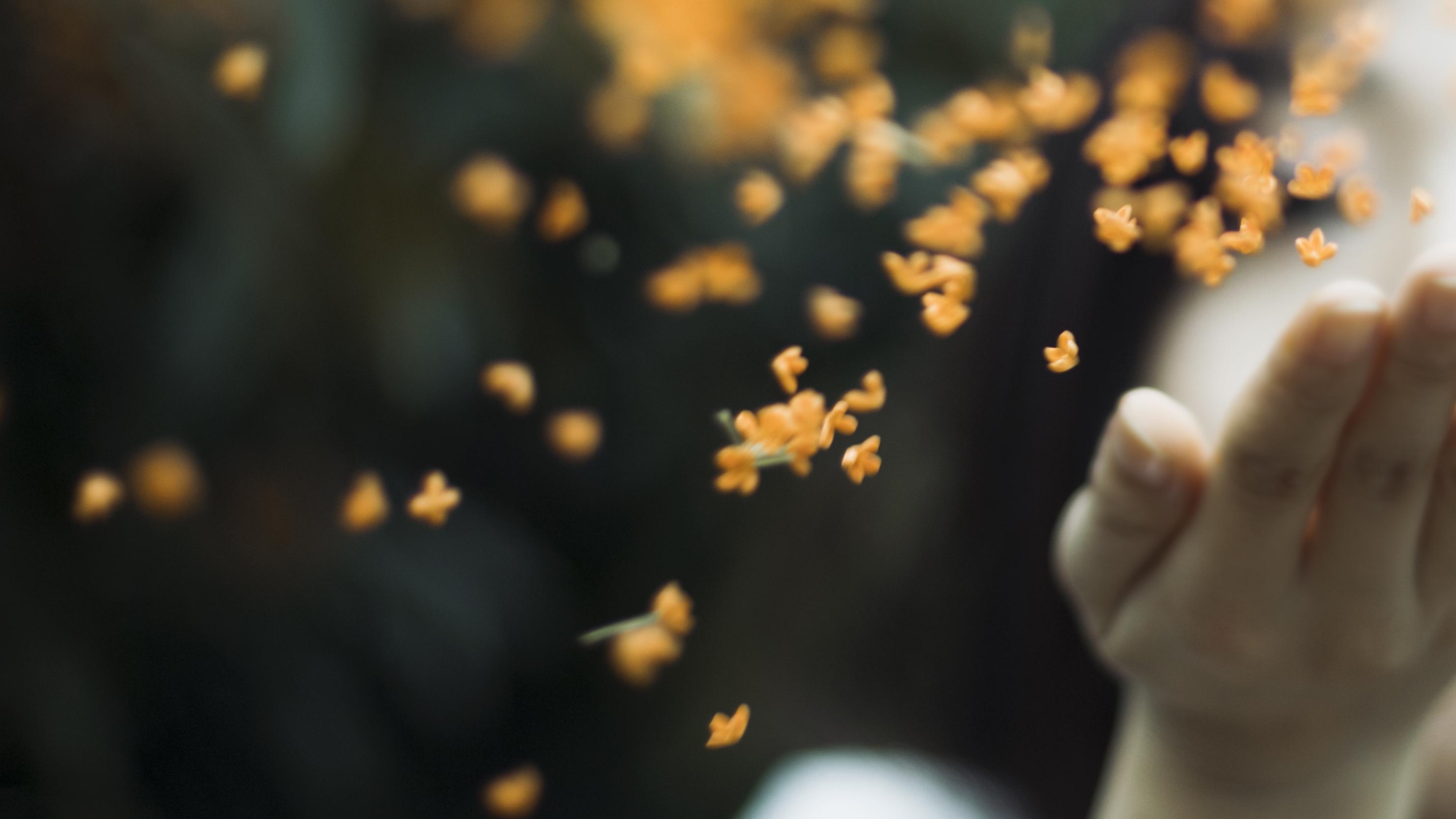 小说：男子被电影情节打动激动不已，却被告知朋友正是此片编剧