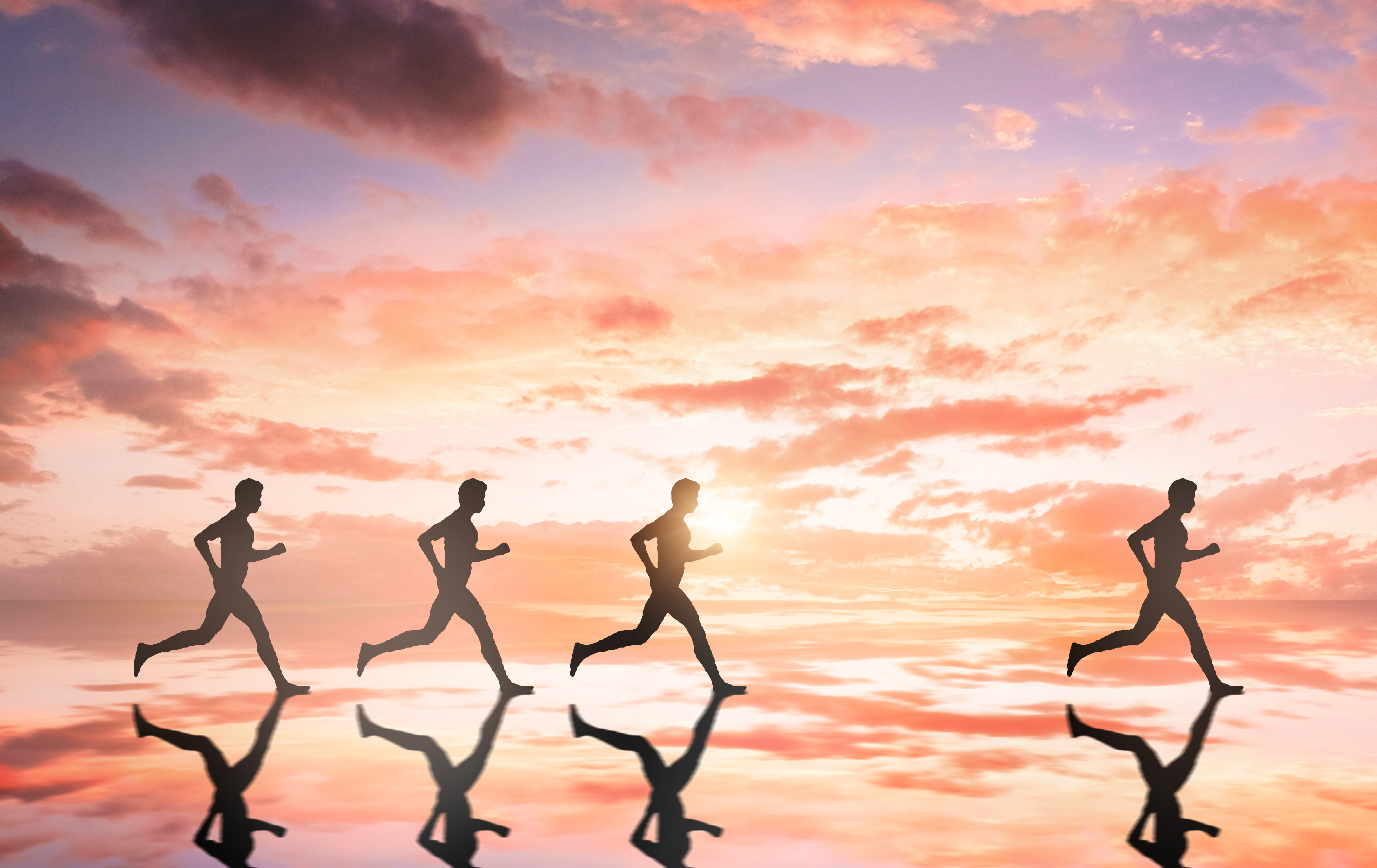 有关文学少年的成长故事，感受其从默默无闻到闪闪发亮的心路历程