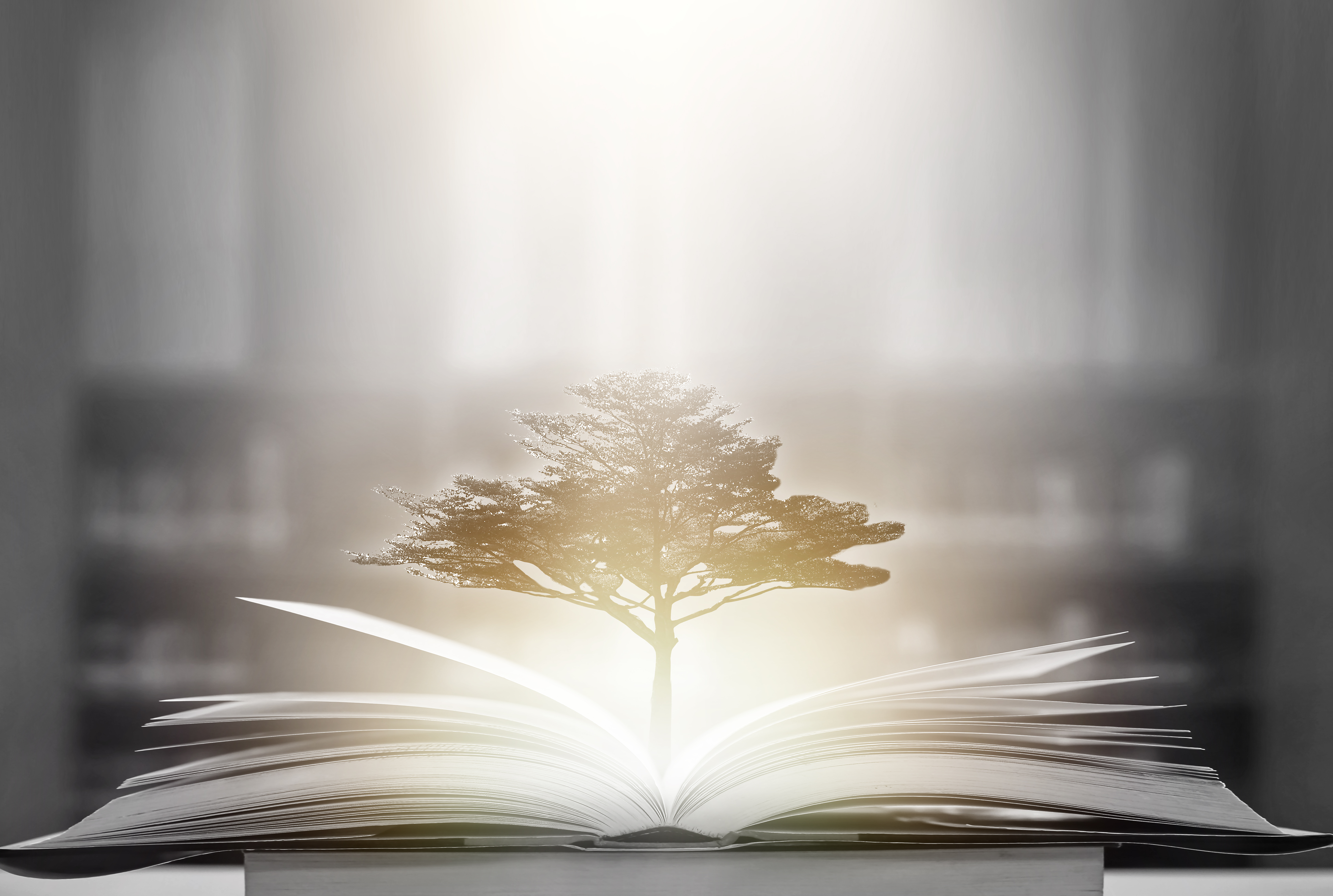 释迦牟尼一生真实故事,释迦牟尼的故事真实的