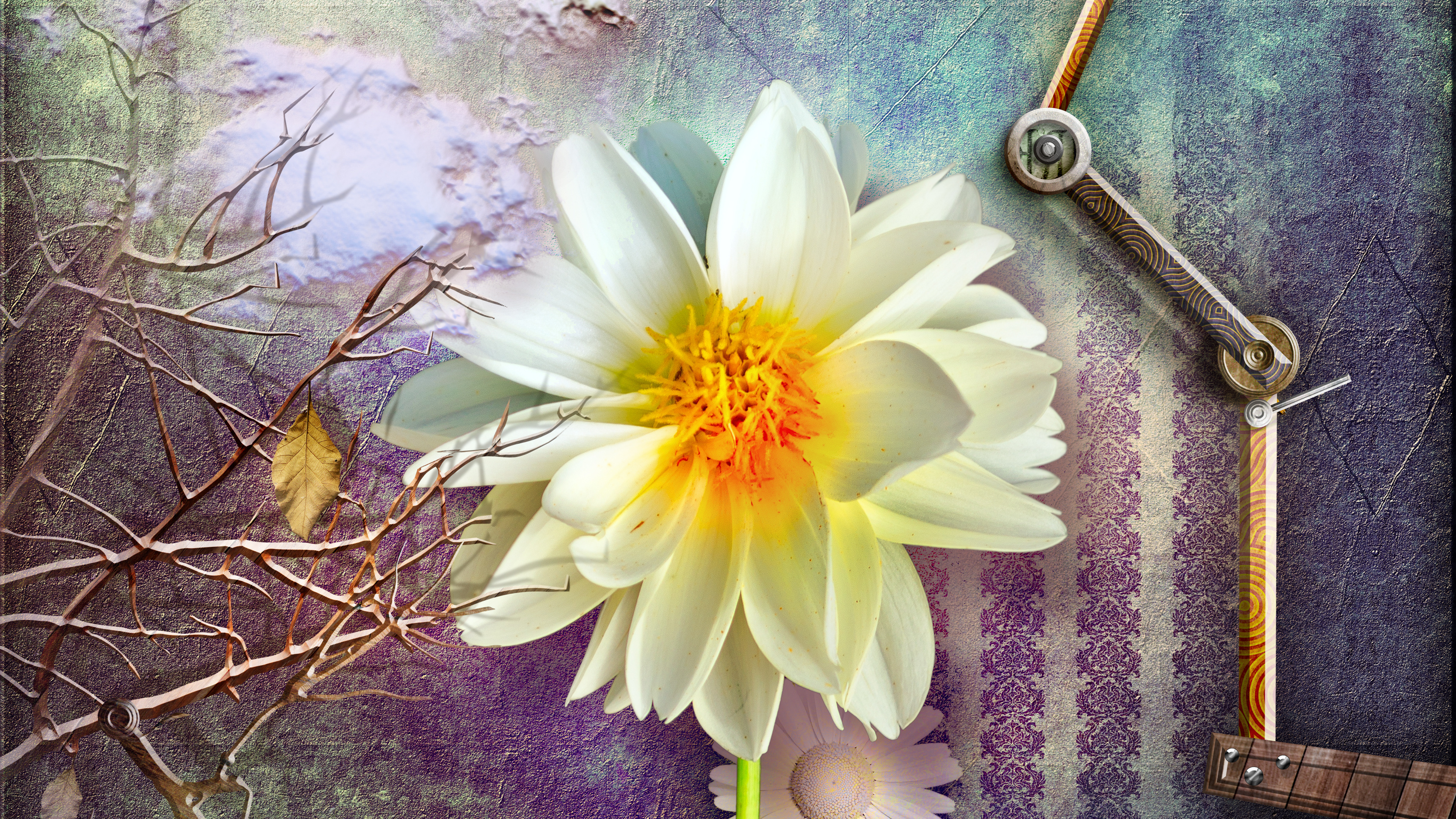 小说：男人笑他没出息，殊不知他早已今非昔比，如今他是转职术士