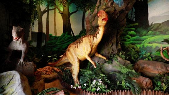 占地30000㎡！这艘建在安华汇天台上的巨船，竟是亲子乐园