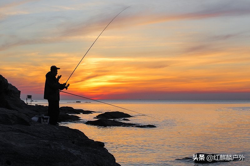 如何成为捕鱼和钓虾的小高手,怎样成为钓鲤鱼的高手