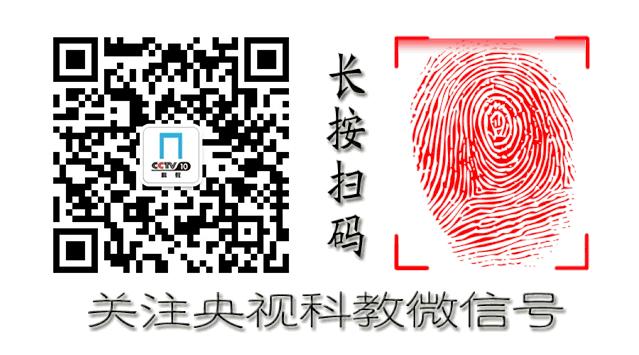 中医艾灸如何辨证,中医艾灸两点一线