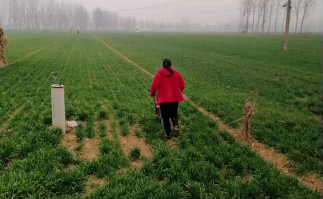 *党**旗引领战犹酣 || 乡镇篇（四）