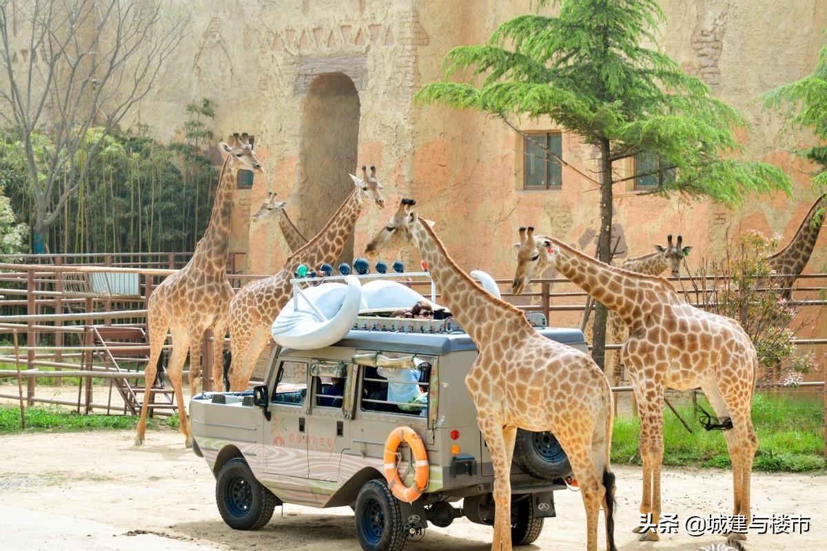 银基今日客流量,银基客流量