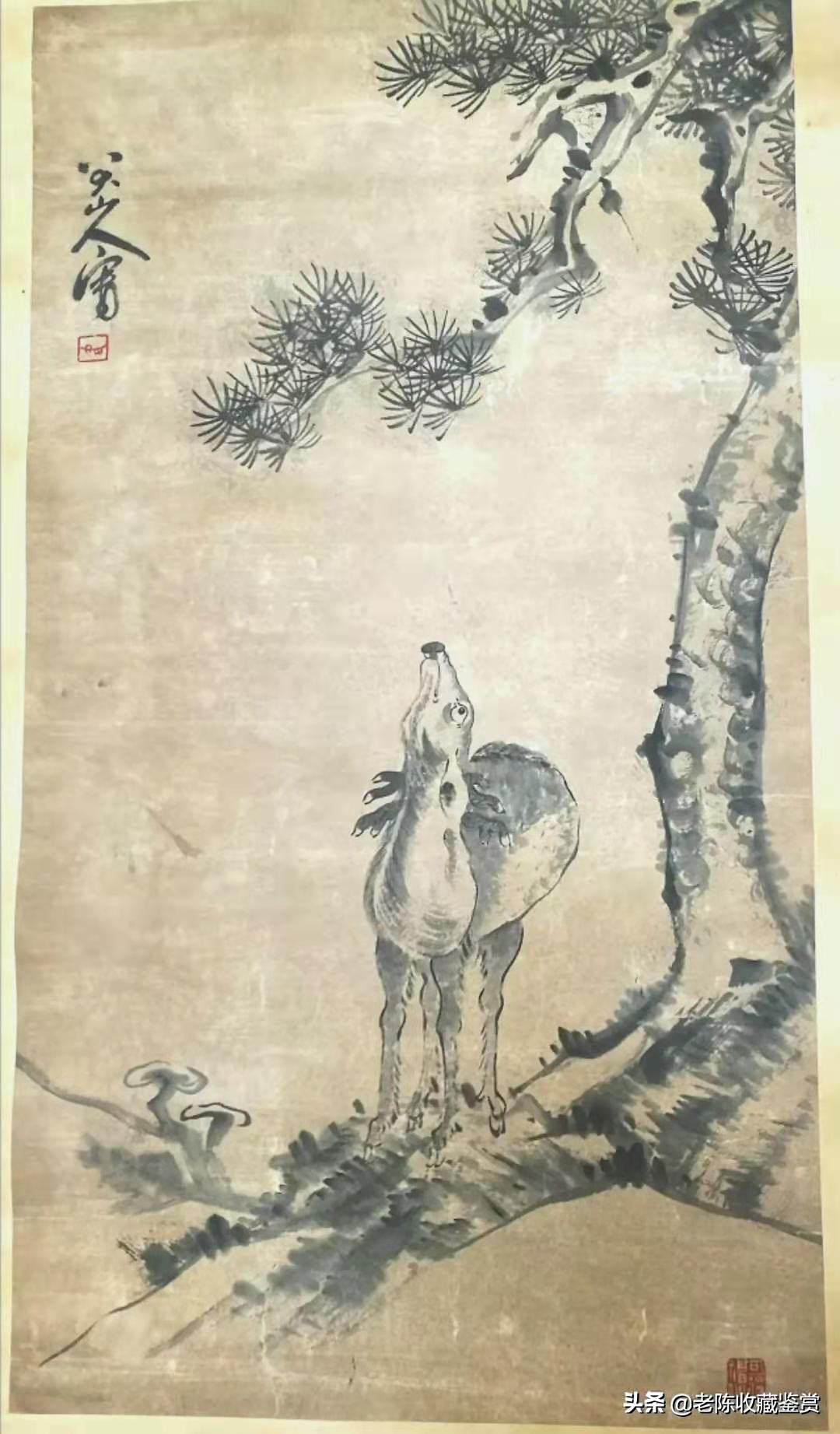 八大山人鹿图,八大山人松鹿图赏析