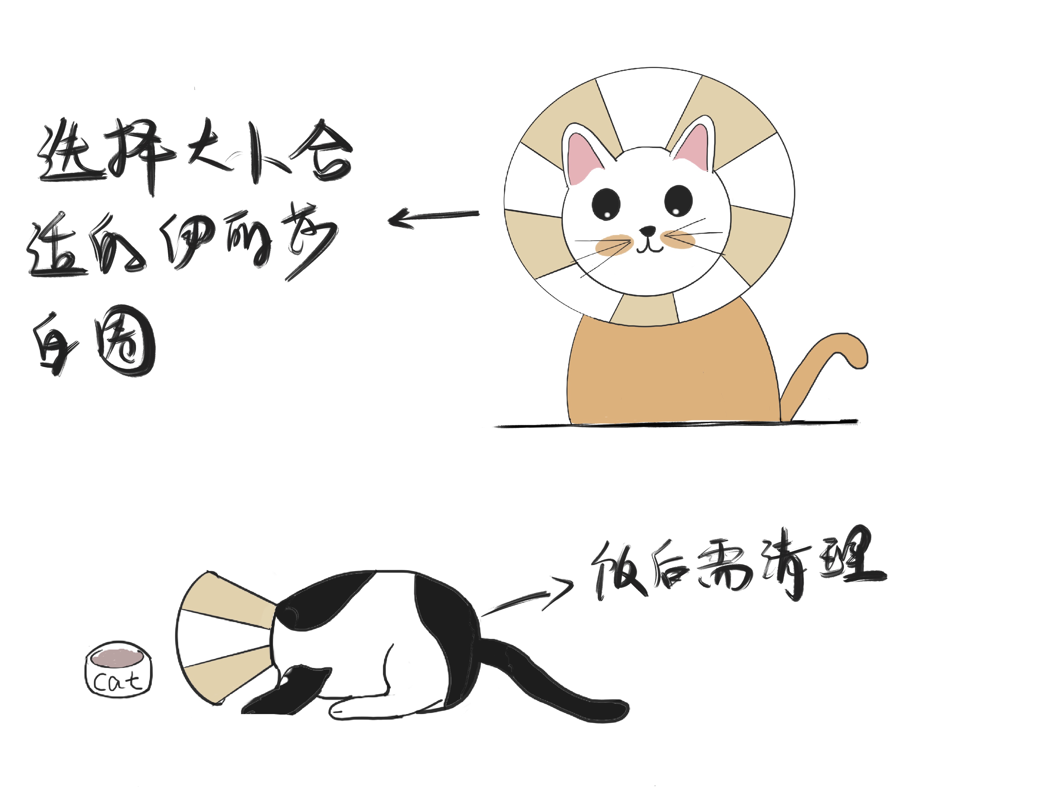 猫也会长白粉刺吗,猫粉刺图片大全