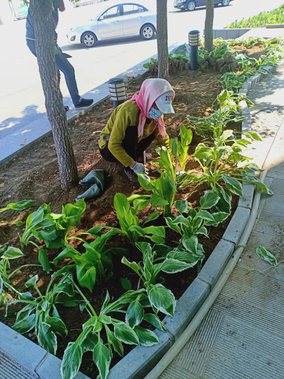 最美校园获奖照片,喜报学校荣获全面优胜单位