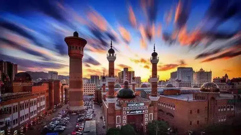 这条路上的团结花为何开得如此“靓”