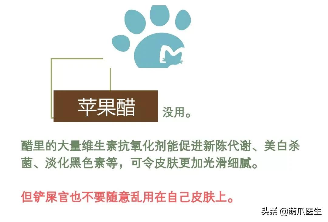 猫咪下巴长了黑头？千万别去抠，那是猫咪患上了毛囊炎的症状