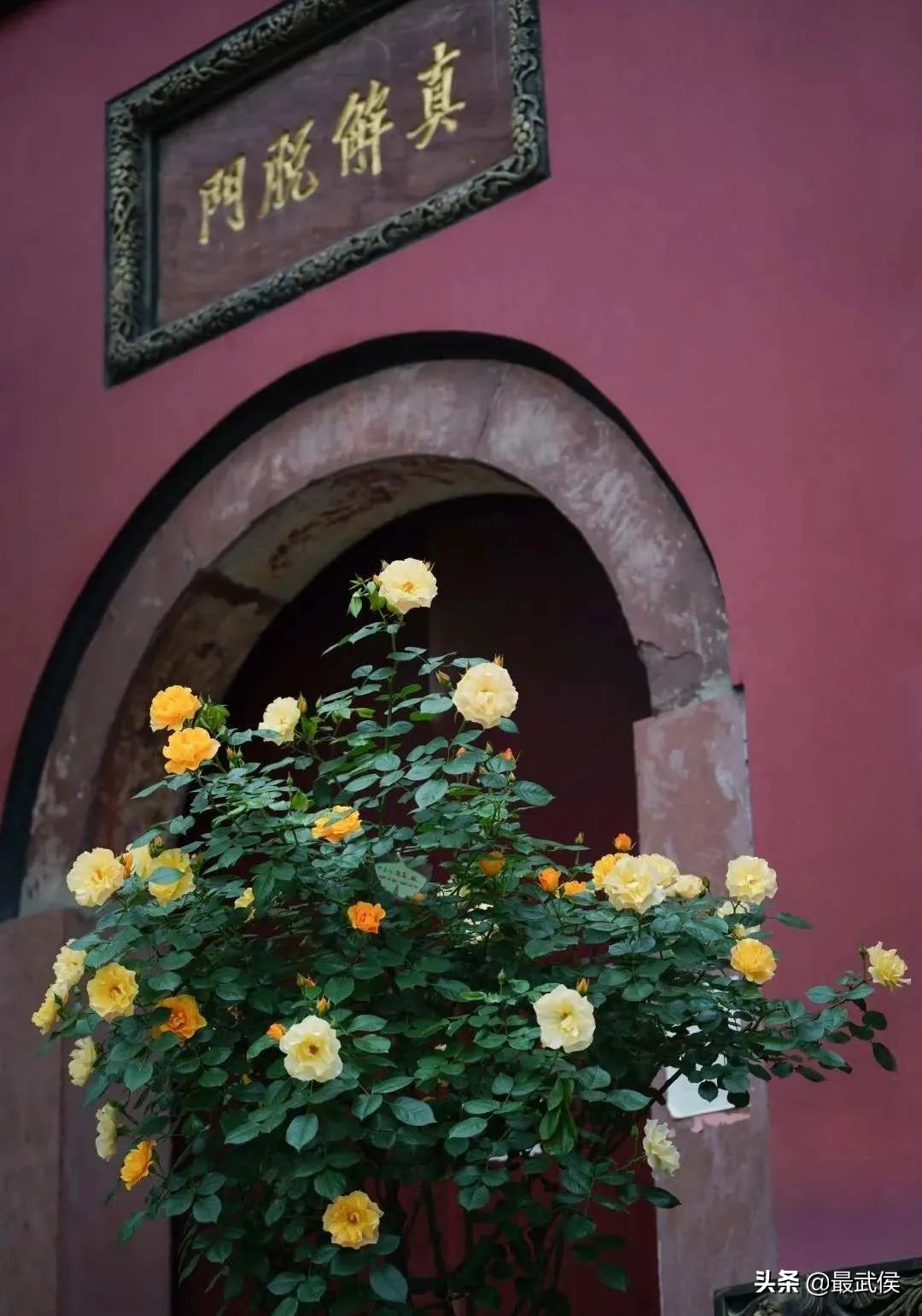 成都首条夜环线，太太太太好玩了！