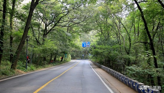 精细化地运用上坡跑：做过这种训练才能真正无所畏惧