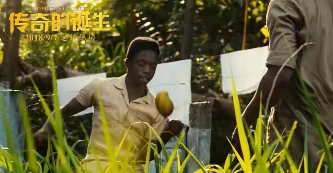 贝利球王的传奇一生视频,贝利贫民窟球王