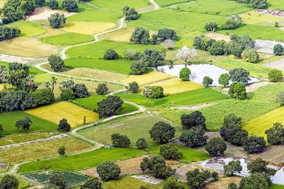杈夊畨鍖栧伐鏈夐檺鍏徃,杈夊畨鍖栧伐