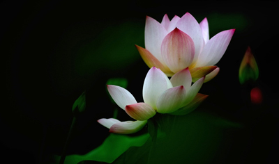 从零开始学财富思维的方法,财富思维的九种方法