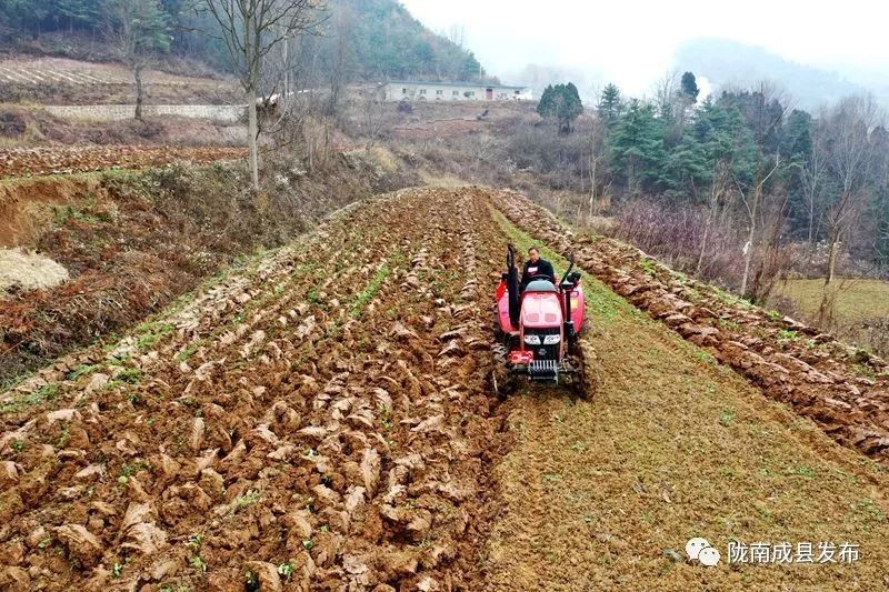 我叫成县，这是我2019年的自拍照~