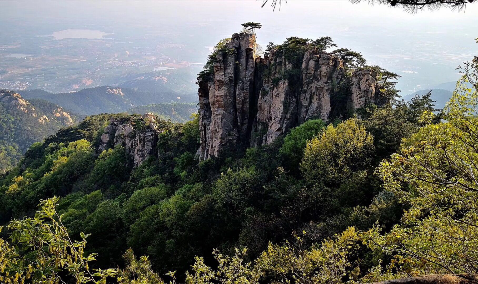 期货交易逻辑分析技巧,期货趋势交易系统