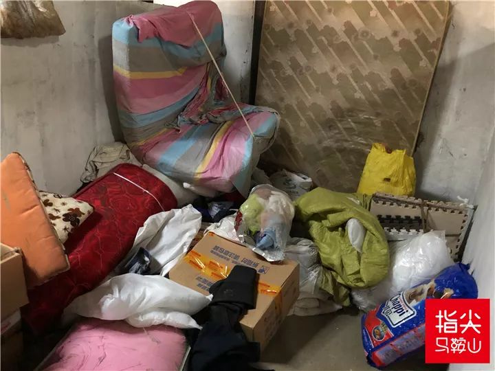 马鞍山流浪狗救助中心在哪里,曝光流浪狗救助真相