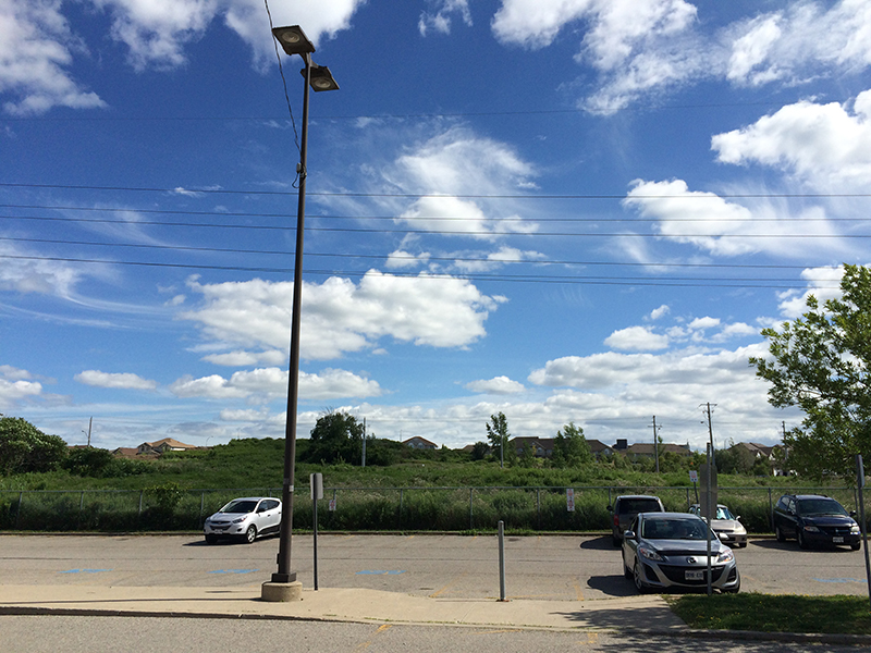 加拿大留学生申请ee通道的条件,加拿大留学生工卡申请流程