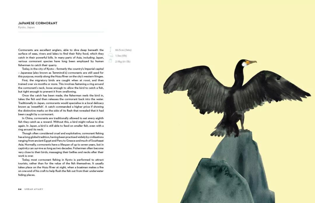 童真稚趣,稚拙童趣天真