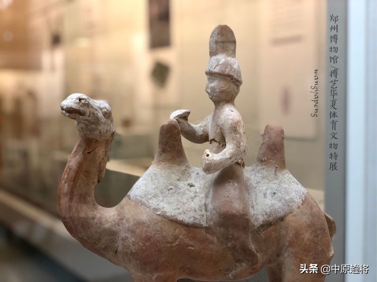 古代的体育运动你知道多少？郑州博物馆看华夏体育*物文**特展
