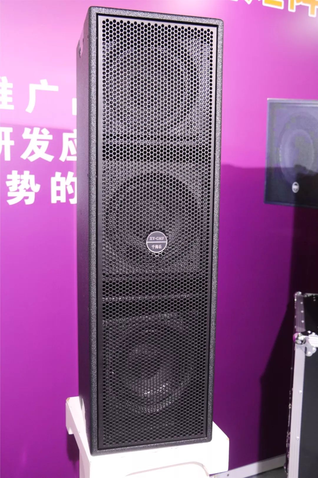 上海民族品牌展销会,上海汽车展中国崛起