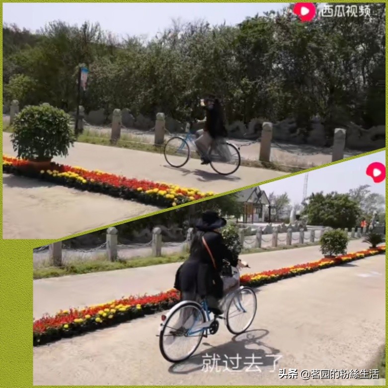 沈阳怪坡虎园,沈阳怪坡