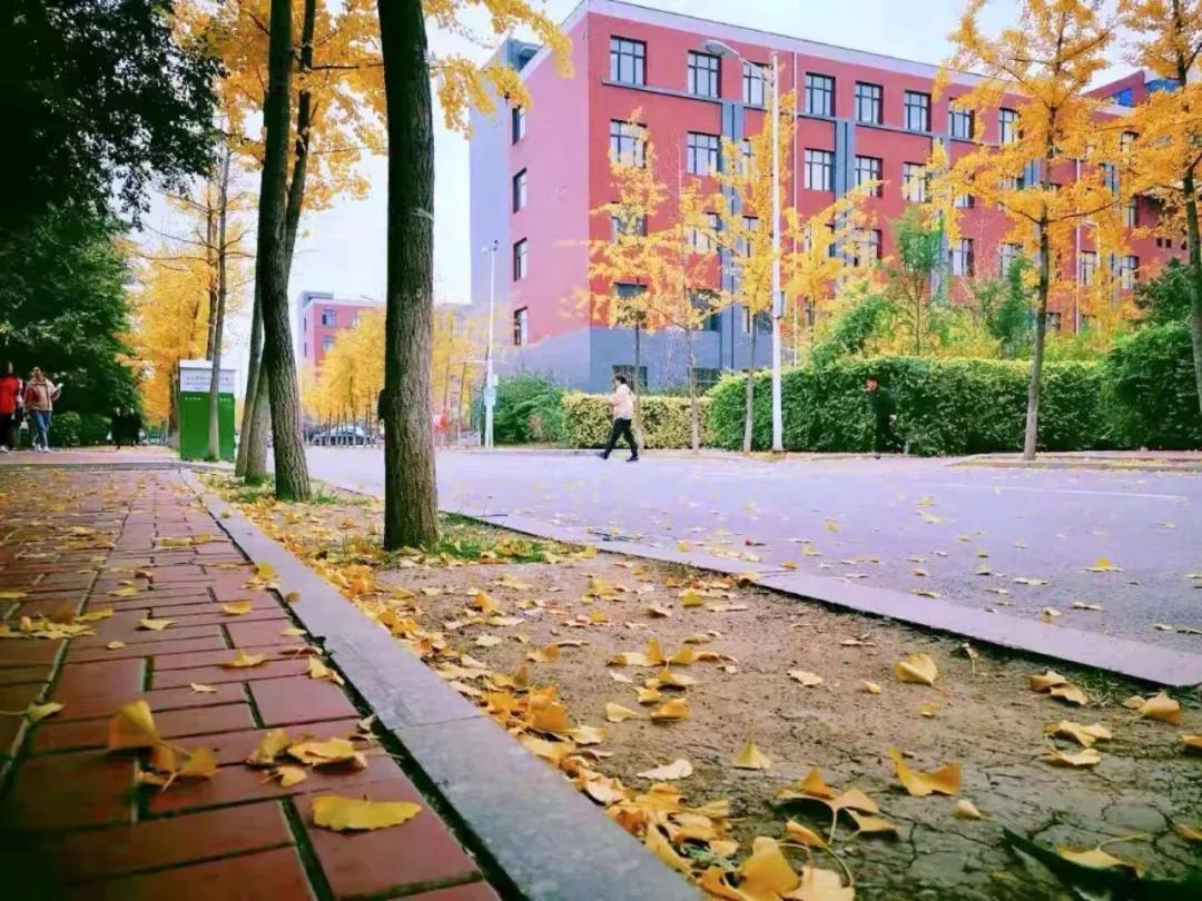 辽宁中医药大学杏林学院独立学院,辽宁中医药大学三个校区