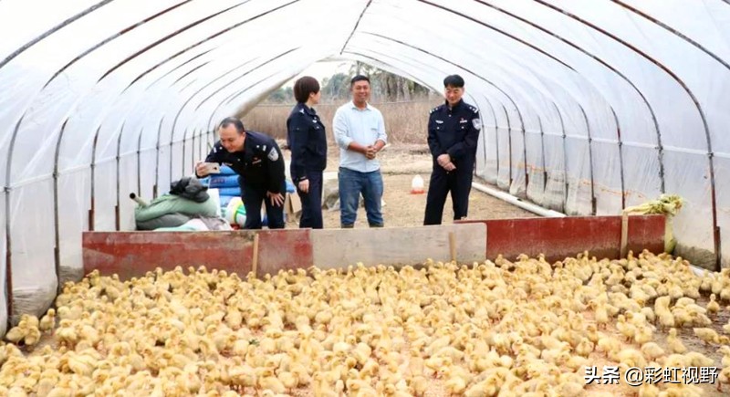 不务正业乡村干部,不务正业疫情