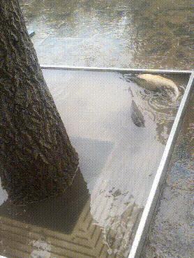 相亲时一个最不会搞定女生的男生,相亲就是给男人追求你的一个机会