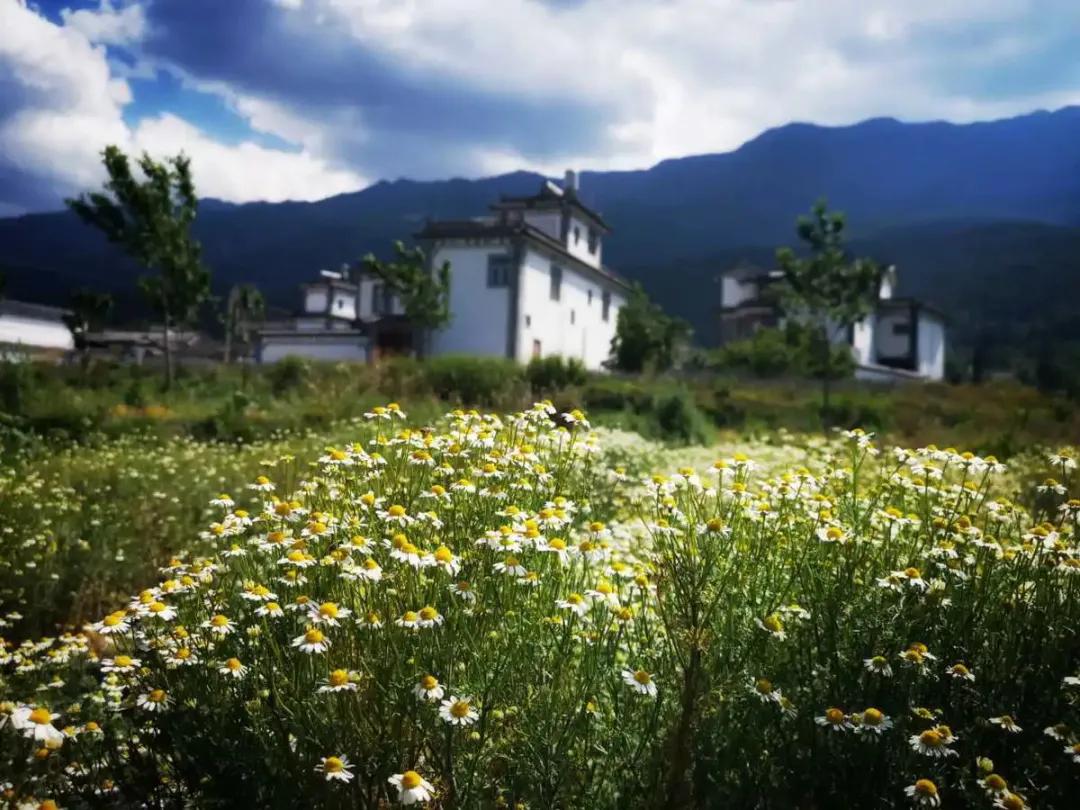 让农业真正回归照顾生命