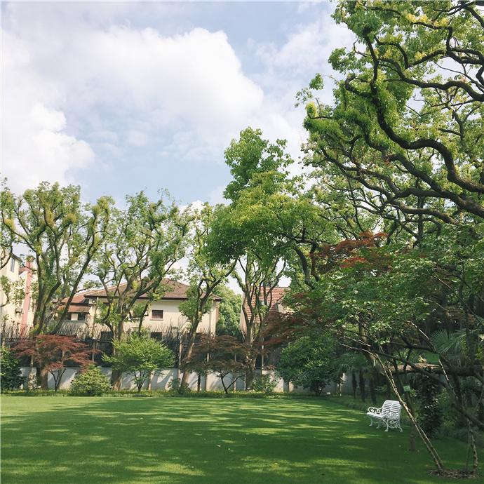 上海小众幽静的旅游地,上海隐藏在闹市里的小众旅游地