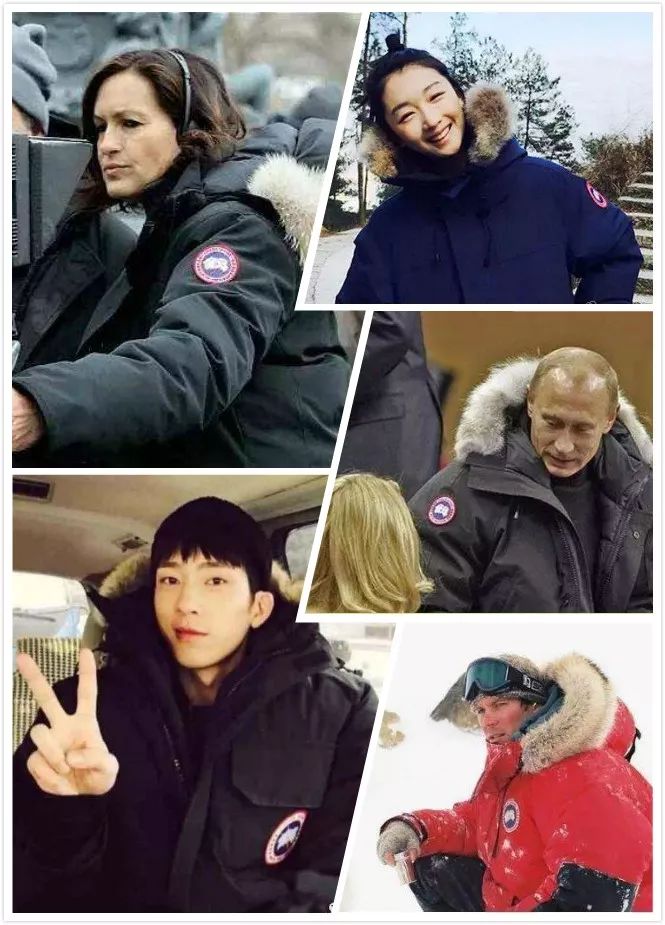 加拿大鹅亚太地区收入大涨,加拿大鹅亚太地区营收下降