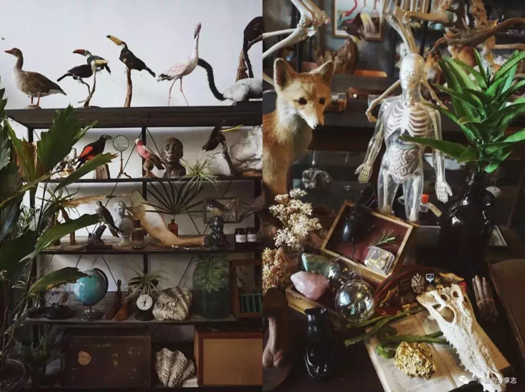 极光之旅民宿推荐,可以看极光的民宿