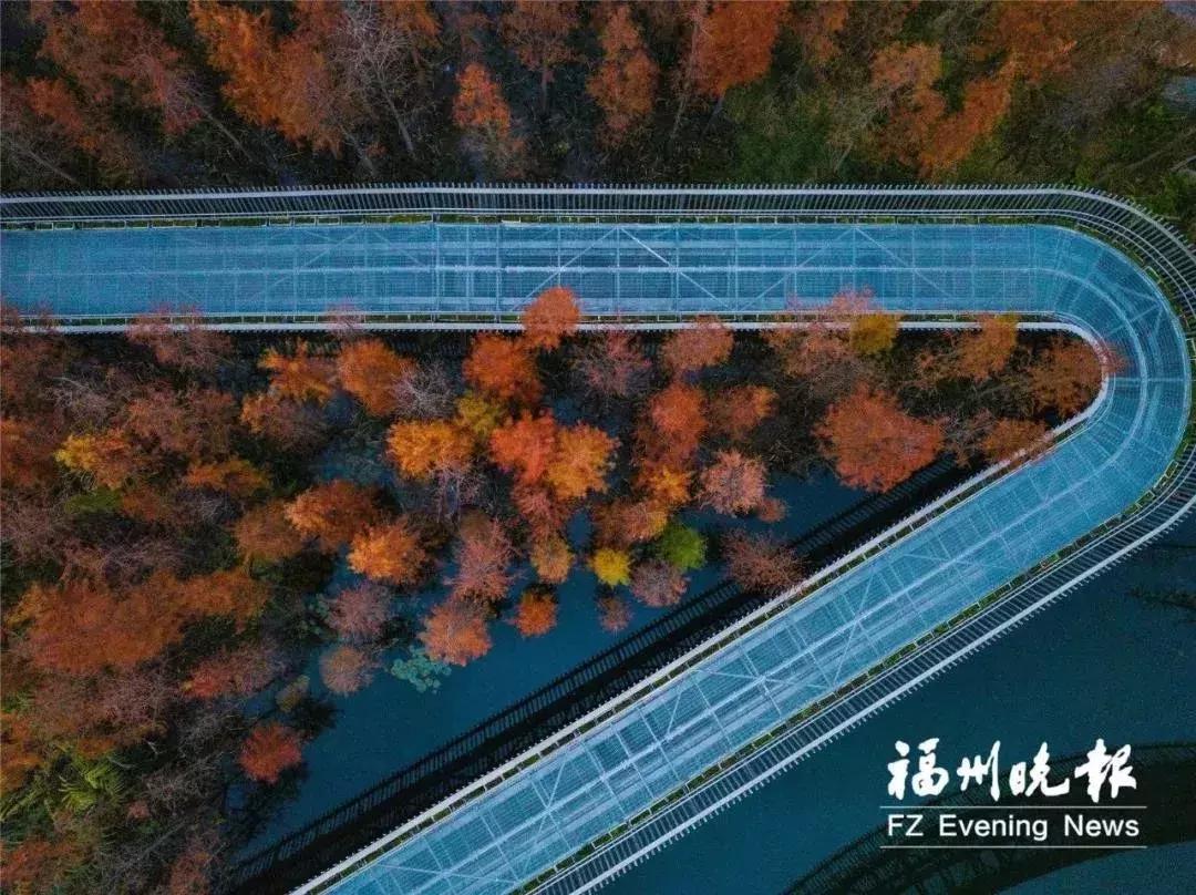 福州鼓楼为什么这么出名,福州鼓楼区分析